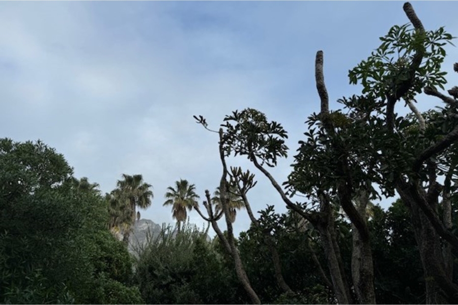 4 Bedroom Property for Sale in Camps Bay Western Cape